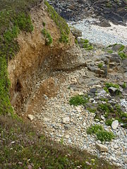 Plouhinec (Finistère) : plage fossile de galets sur une falaise entre les plages de Mesperleuc et Gwendrez.