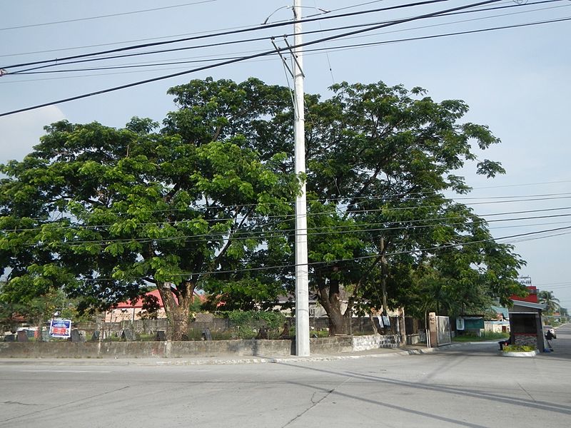 File:795ajfBarangay Hall Fernando Pampangafvf 15.jpg