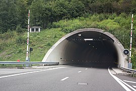 Le tunnel de Saint-Germain-de-Joux.