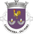 Vlag van São Pedro de Gafanhoeira