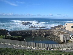 El Aquarium Finisterrae. La Casa de los Peces.