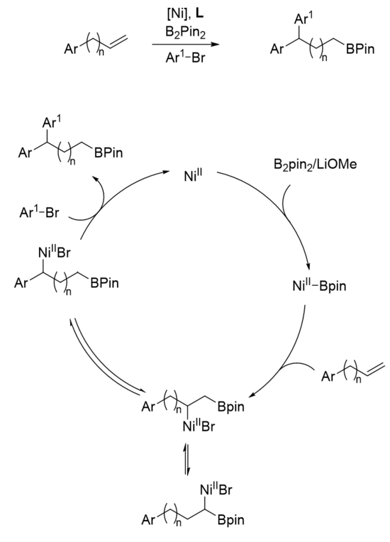 A nickel-catalyzed 1,n arylboration example with chain-walking mechanism A nickel-catalyzed 1,n arylboration example with chain-walking mechanism.png