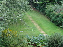 After a long hot dry period, cropmark on a lawn from a line of flagstones overgrown and buried by grass Aa lawn flagstones cropmark.jpg