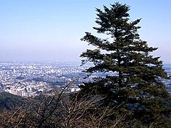 Vista de Tokio desde el monte Takao-san