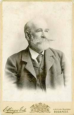 Az 1890-es években (Ellinger Ede felvétele)
