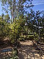 Jardines de Alta Vista - Diciembre 2020 - Pic04.jpg