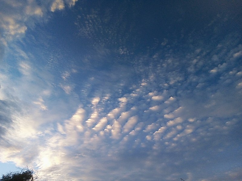 File:Altocumulus undulatus & Cirrocumulus undulatus (28112021).jpg