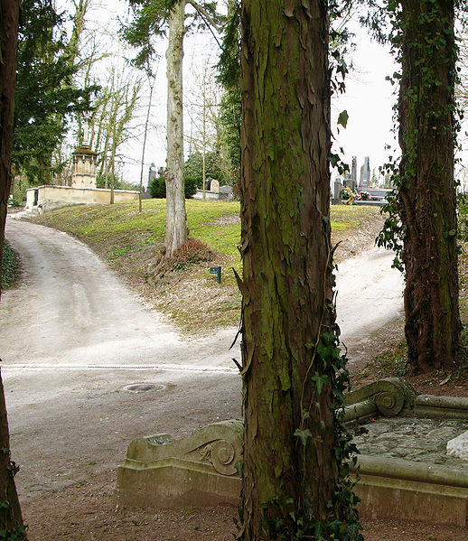 File:Amiens allée des passiflores depuis tombe Jules Verne (cimetière de la Madeleine) 19a.jpg