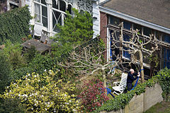 Rooftop view of a garden. An old man hanging a Hammock. Amsterdam, The Netherlands