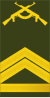 Angola-Army-OR-5c.svg