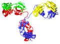 Il "groviglio" di amminoacidi che formano l'anticorpo.