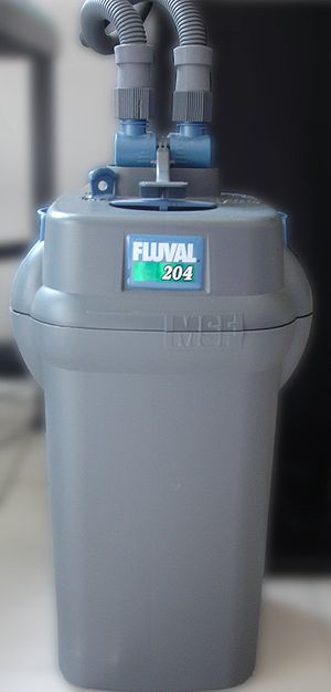 Aquarium - external filter.jpg