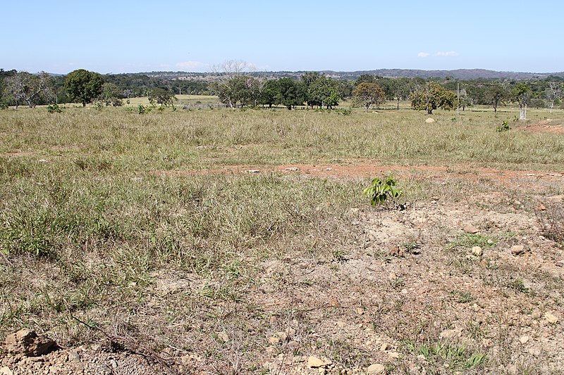 File:Araguainha - State of Mato Grosso, Brazil - panoramio (1115).jpg