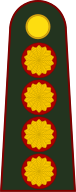 File:Argentina-Army-OF-9.svg