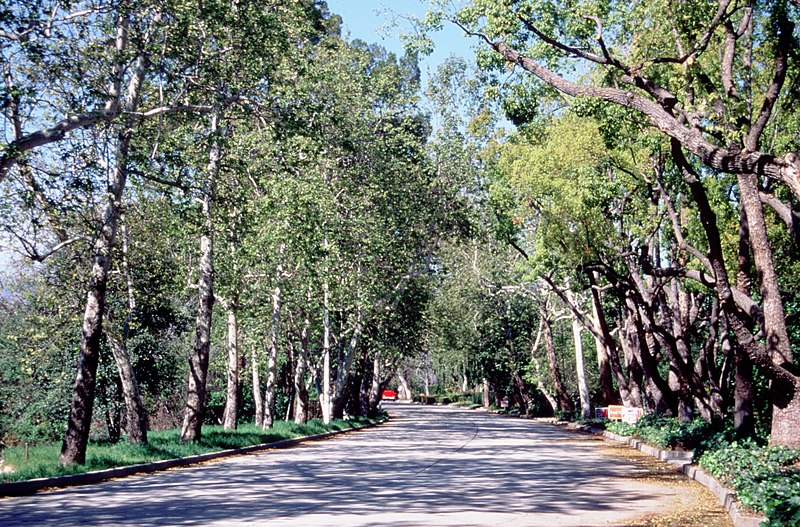 File:Arroyo Seco Historic Parkway - Route 121 - Arroyo Drive Above Parkway - NARA - 7717019.jpg