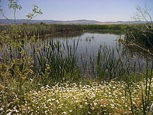 Ash Creek Wildlife Area (18471855404).jpg