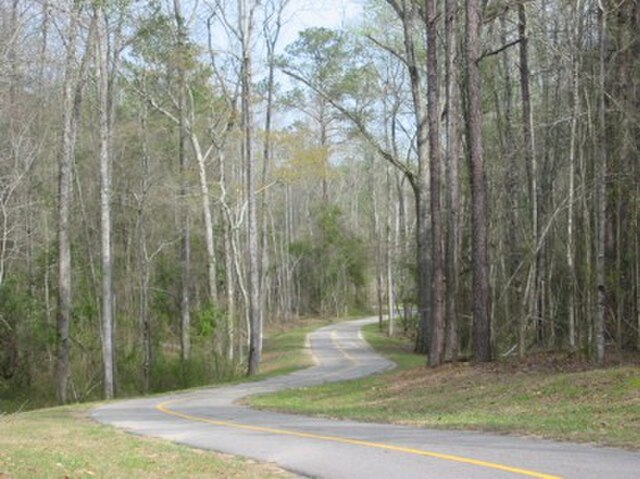 Image: Auburn biking trail