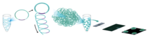 Tvorba DNA nanobulí a adsorpce do vzorované matice flowcell