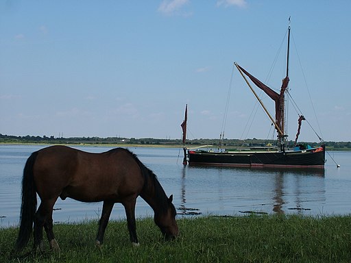 Barge and horse, River Alde - geograph.org.uk - 1994568