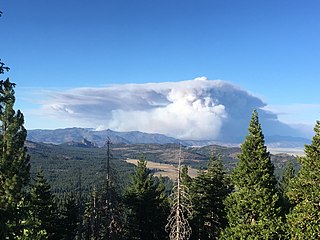 <span class="mw-page-title-main">Beckwourth Complex fires</span> 2021 wildfire in California