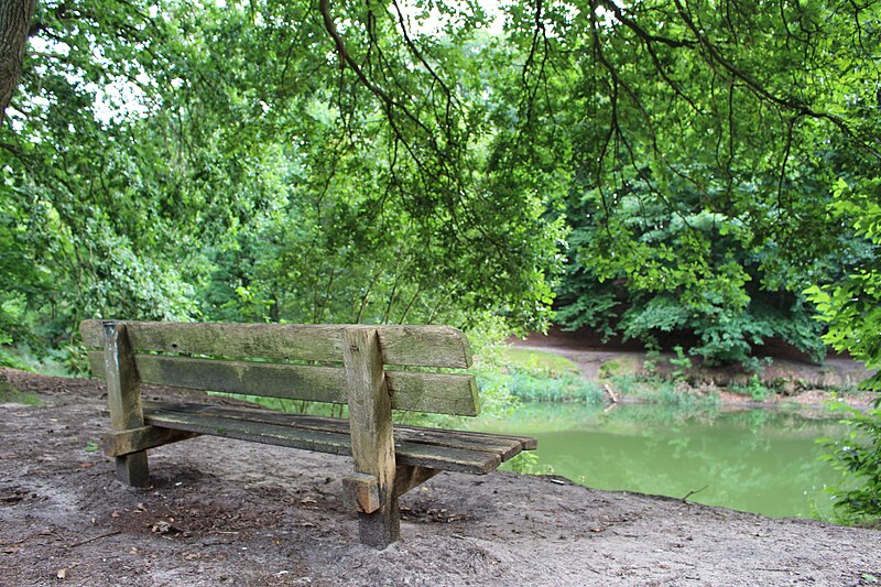 File:Bench in forest (21333485186).jpg