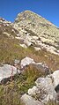 La sommità rocciosa del Monte Besimauda