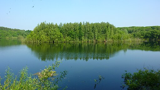 Birchwood Pool, Moore Nature Reserve - geograph.org.uk - 4981691