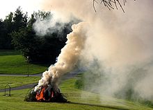 https://upload.wikimedia.org/wikipedia/commons/thumb/a/a9/Bonfire_in_Denmark.jpg/220px-Bonfire_in_Denmark.jpg