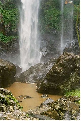 File:Boorganna Nature Reserve base of Rawsons Falls Jan05-2001.jpg - Wikipedia