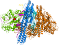 Botulinum toxin A1 with NTNHA