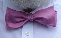 Bow tie - Wikipedia