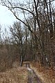 Čeština: Lesní cesta poblíž Bubovic, Středočeský kraj English: A road in the forest near Bubovice, Central Bohemian Region, CZ