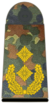 Bundeswehra-OF-7-GM.png