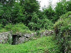 Burg Altlaubenberg