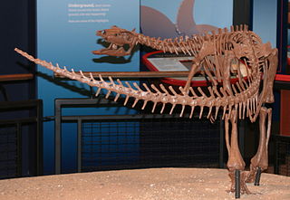 Thescelosauridae Extinct family of dinosaurs
