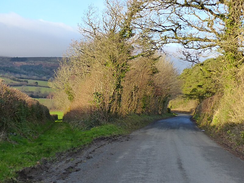 File:Byway, road and winter tree scene near Haytor Vale - geograph.org.uk - 5255444.jpg