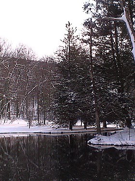 Todd Township (comté de Fulton, Pennsylvanie)