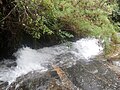 Cachoeira.Campos.Jordão.JPG