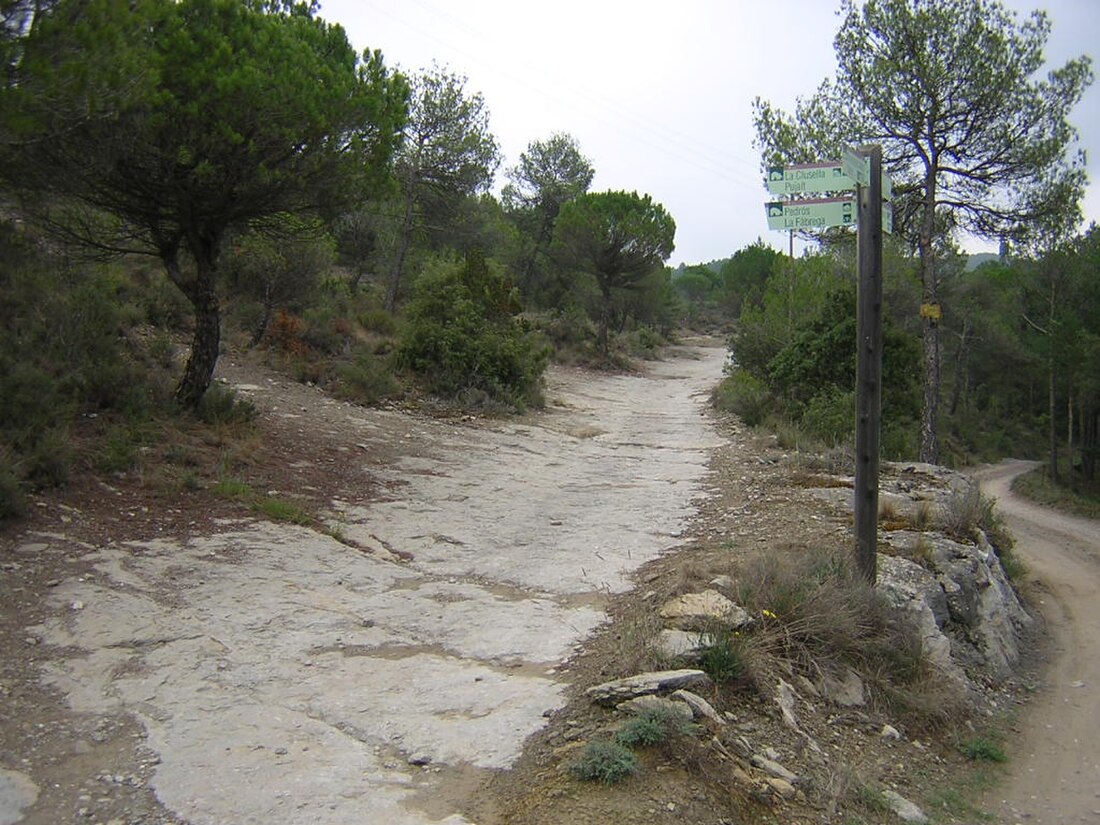 Camí de Monistrol de Calders a la Closella