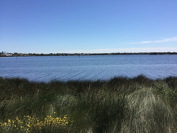 Part of the Convict Fence in Canning River between Shelley Foreshore Reserve and Salter Point