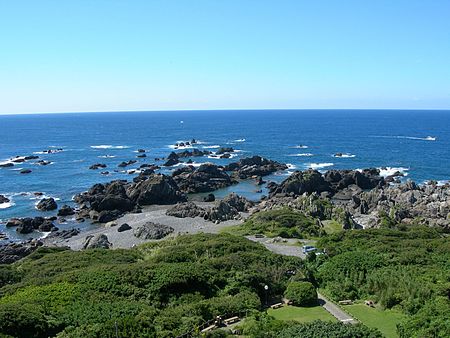 Cape-Muroto-20100526.jpg