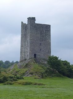 <span class="mw-page-title-main">Carrigaphooca Castle</span> 14th century ruined castle in Cork, Ireland