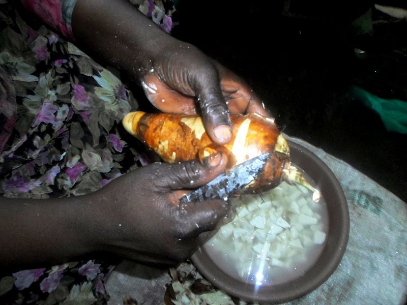 File:Cassava Roll Step 2.JPG