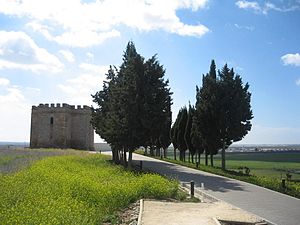 Castillo de doña Blanca, que da nombre al yacimiento