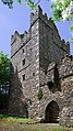 Castles of Leinster, Rathmacknee, Wexford (3) - geograph.org.uk - 3036265.jpg