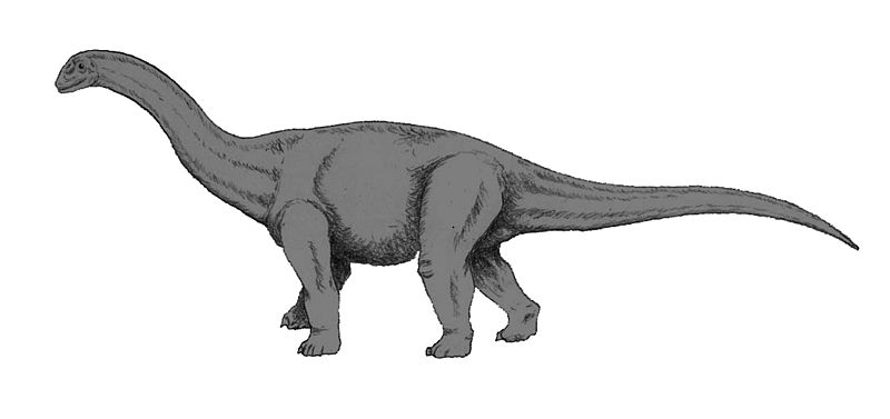 ファイル:Cetiosaurus1.jpg