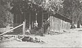 Chris Evans' Redwood Ranch that he build with his fraternal twin brother, Tom, in 1875.jpg