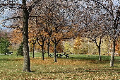 How to get to Christie Pits with public transit - About the place