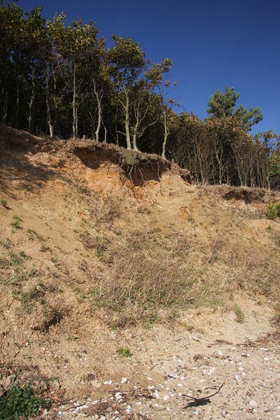 File:Cliff fall at Cudmore Grove - geograph.org.uk - 1004065.jpg