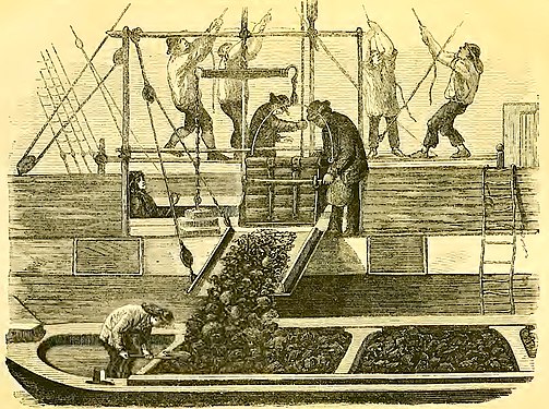 Coal-whippers. Four men could lift 100 tons of coal a day.